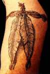 Feathers & band on left bicep