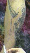 Drawing the hair