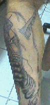 Back of the calf